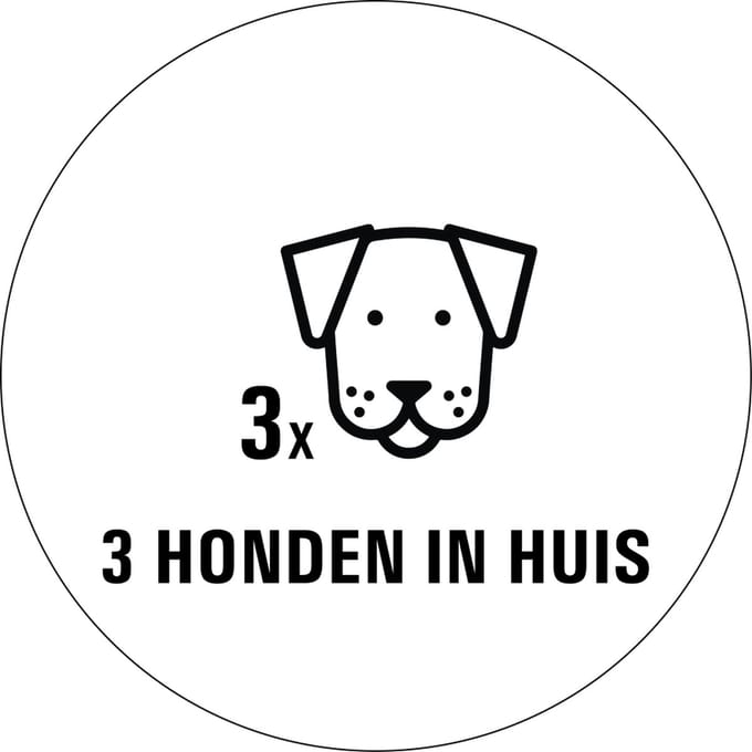 Honden in huis sticker - 80 x 80 mm 3
