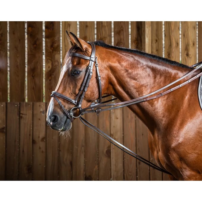 1/2 leren paardenteugels Dy'on Hunter
