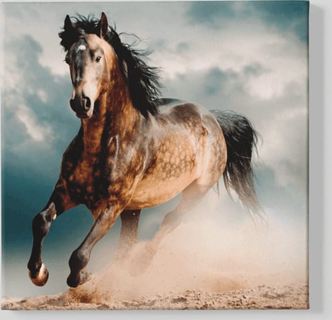 Vierkant Canvas Schilderij - Dieren - Paard - Paarden - 100x100x2 cm