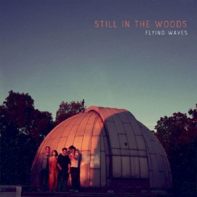 Still In The Woods - Flying Waves (CD)