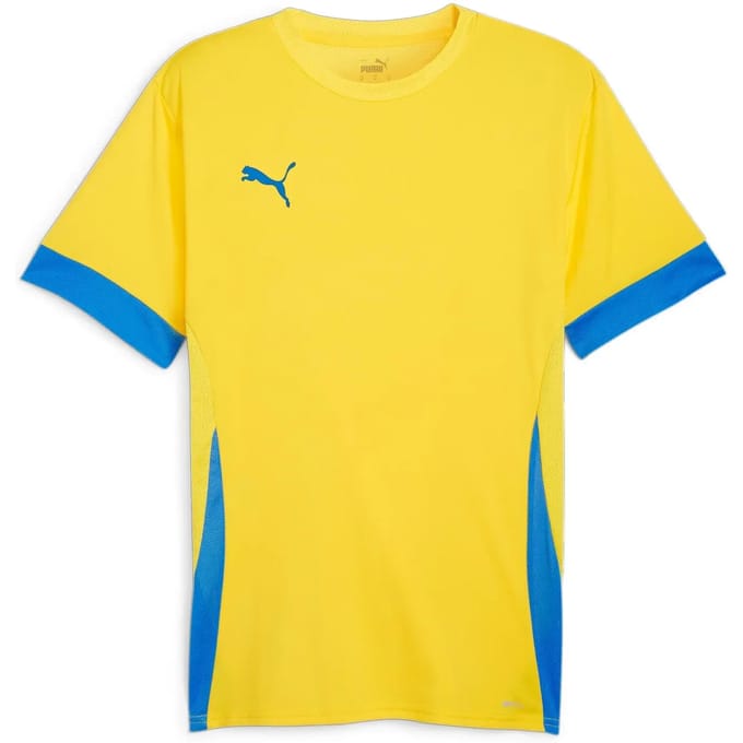 Jersey Puma TeamGoal