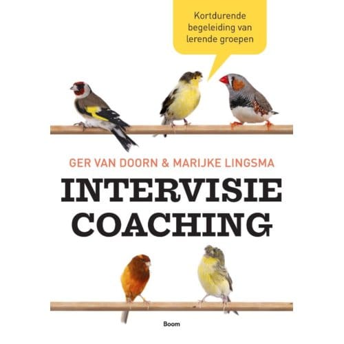 Intervisiecoaching - Marijke Lingsma
