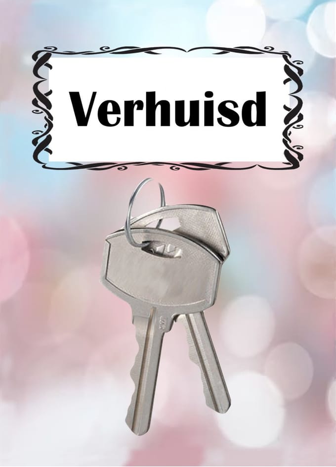 Adreswijziging - Verhuiskaarten - A6 - kaartenset van 12 stuks - Briefkaarten