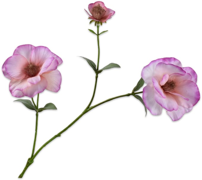 Silk-ka Kunstbloem-Zijden Bloem Lisianthus Tak Roze 72 cm Per 2 Stuks
