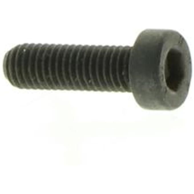 Screw