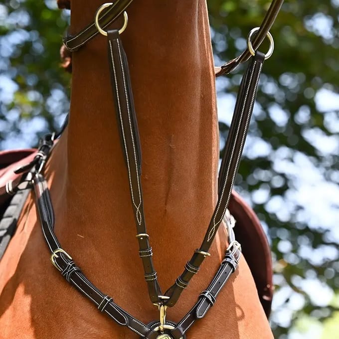 Martingale voor halsband paard Jump'In Wednesday et Crystal