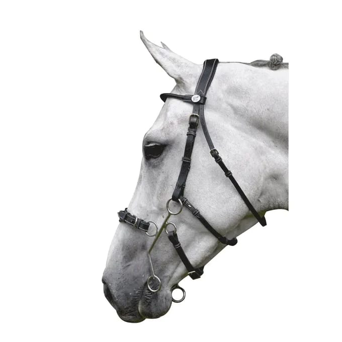Engels gecombineerd hoofdstel met anatomische neusriem Jump'In Hackamore