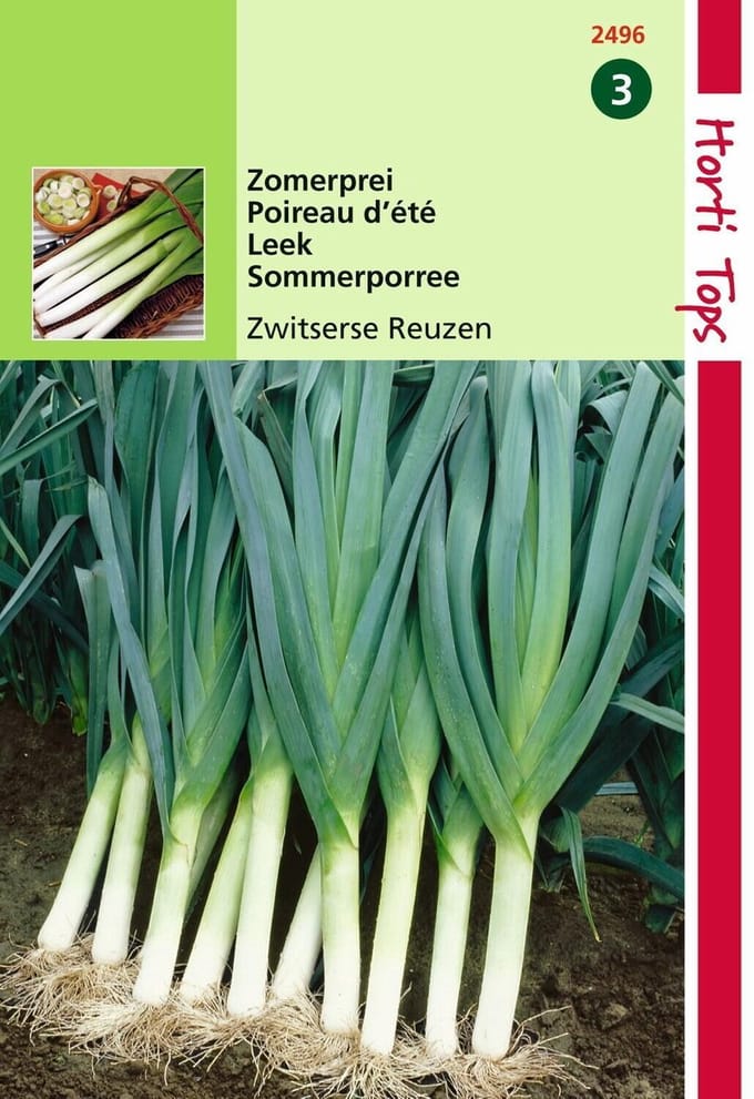 2 stuks - Hortitops - Prei Zwitserse Reuzen Zomer Vroege Herfst