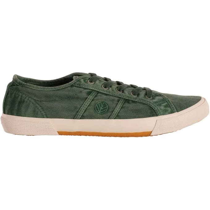 Trainers Rox R-Ups