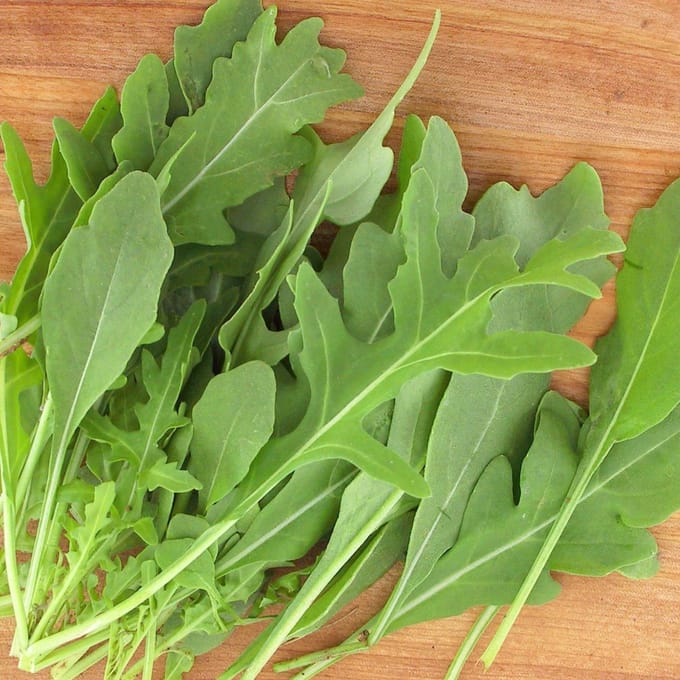 Sluis Garden - Wilde Rucola Rocky Wild Biologisch (Diplotaxis selvatica)