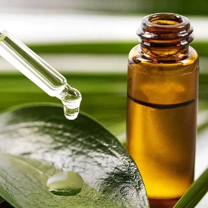 Copaiba Balsem Etherische Olie - Copal Resin Olie - 250 ml