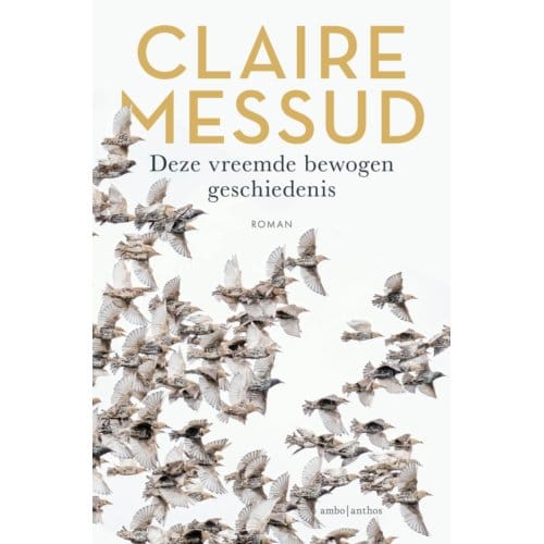 Deze Vreemde Bewogen Geschiedenis - Claire Messud