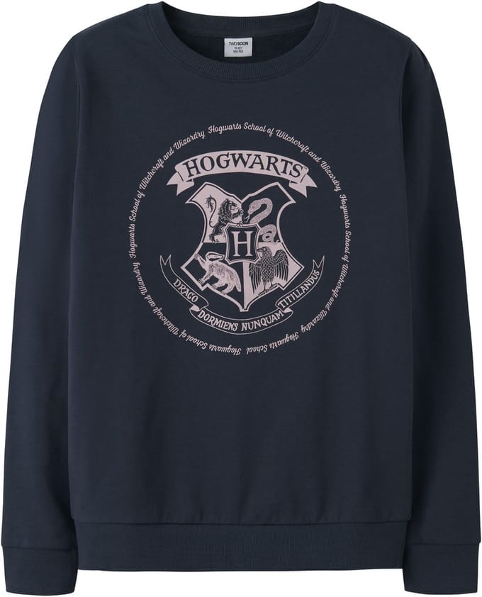 NAME IT - TKFTHOMEL HARRYPOTTER SWEAT BRU NOOS WAB - Meisjes - Sweaters