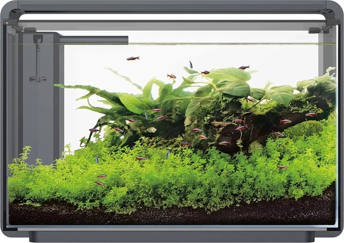 Superfish Home Proled 65 Aquarium - Aquarium - Zwart