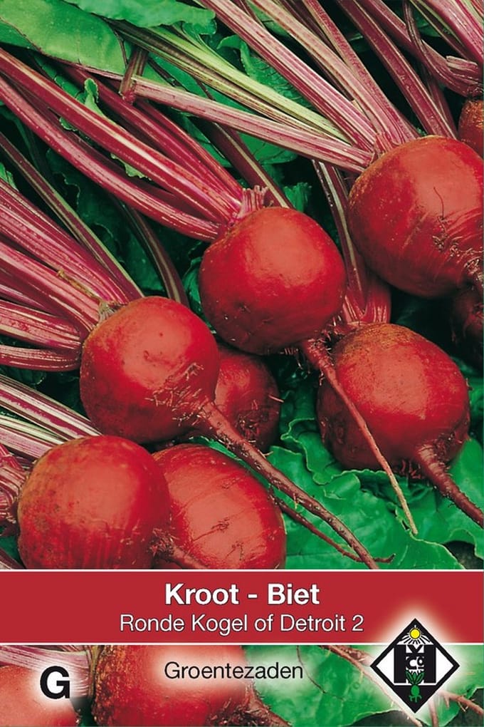 2 stuks Biet Kroot Kogel of Detroit 2, 20 gr.Van Hemert & Co