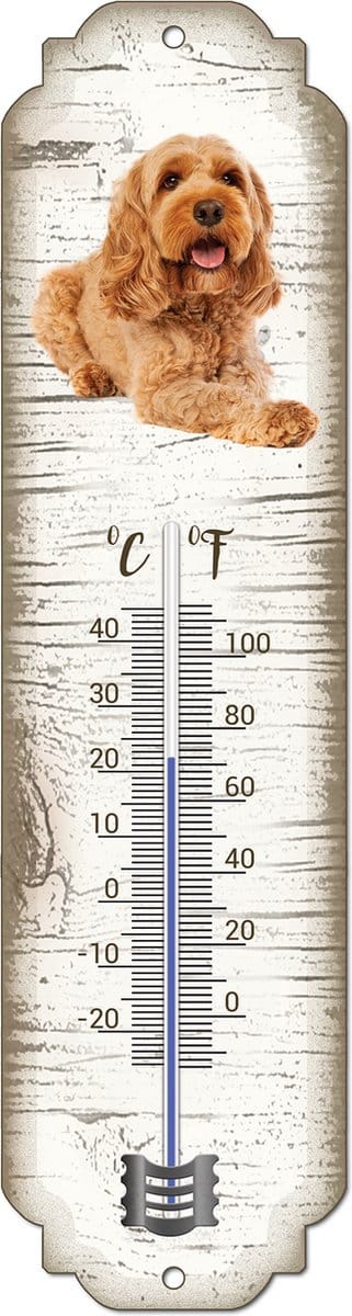 Thermometer: Cockapoo | Hondenras | Temperatuur binnen en buiten | -25 tot +45C