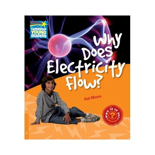 Why Does Electricity Flow? Level 6 Factbook - Rob Moore