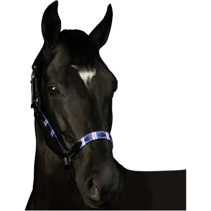 Halster voor paarden Flags&Cup Chukka