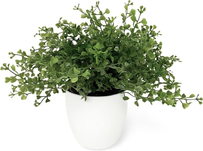 Kunstplant In Pot 3 st. - 20 cm