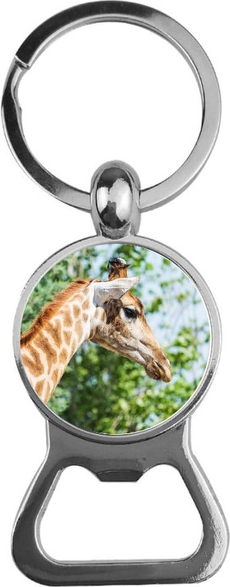 Bieropener Glas - Giraffe