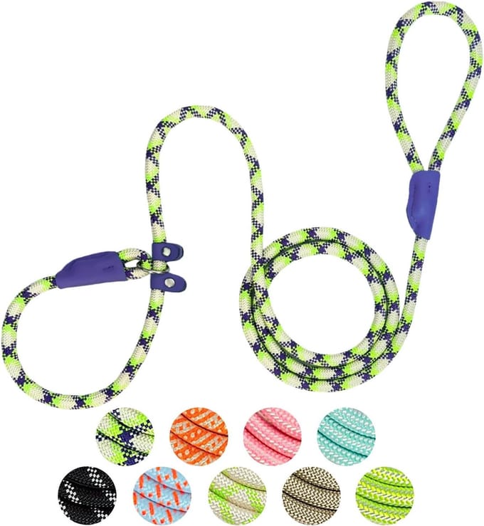 Slip Lead Hondenriem - Heavy Duty Nylon - 1.8 Meter x 1 cm - Verstelbaar - Voor Training van Klein en Middelgroot Honden