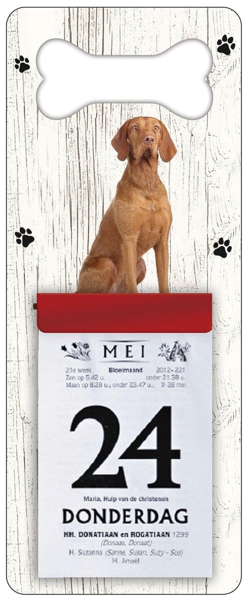 Scheurkalender 2027 Hond: Vizsla Korthaar