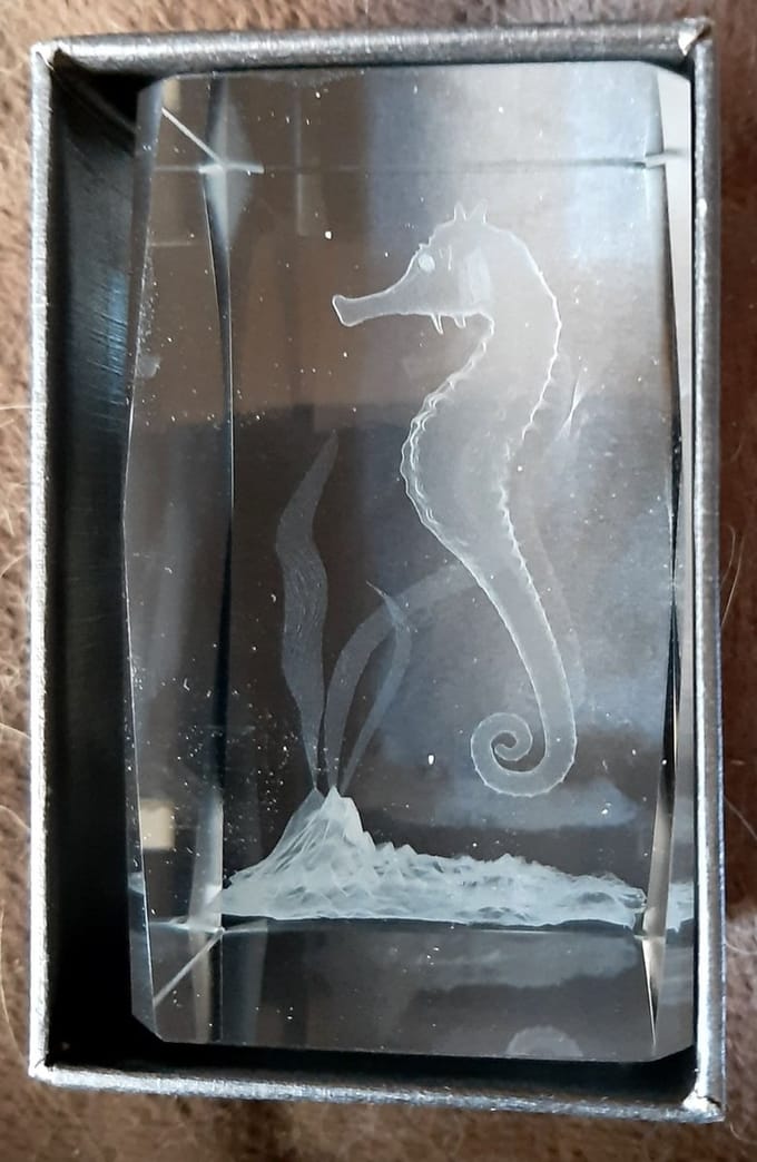 3D Laser Gravure zeepaardje glasblokje - 8 cm - massief glas