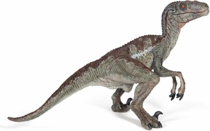 Velociraptor - Dinosaurus