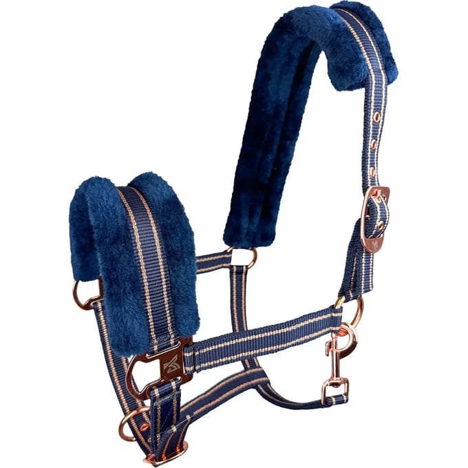 Halster voor paarden York Gold Star