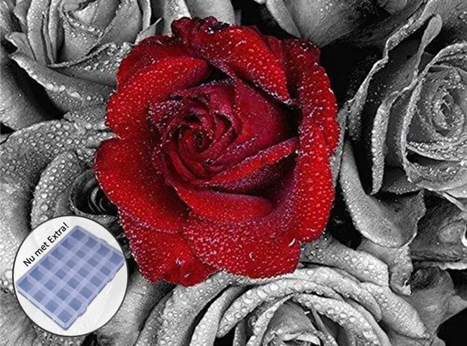BJoy Diamond Painting 50x40 - Rode Roos Bloemen