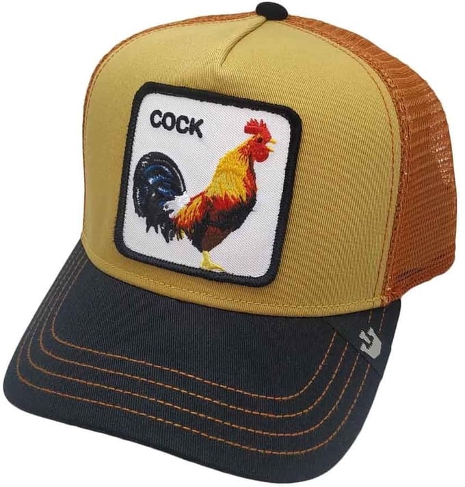 Goorin Bros. A Doodle Doo Trucker cap - Black