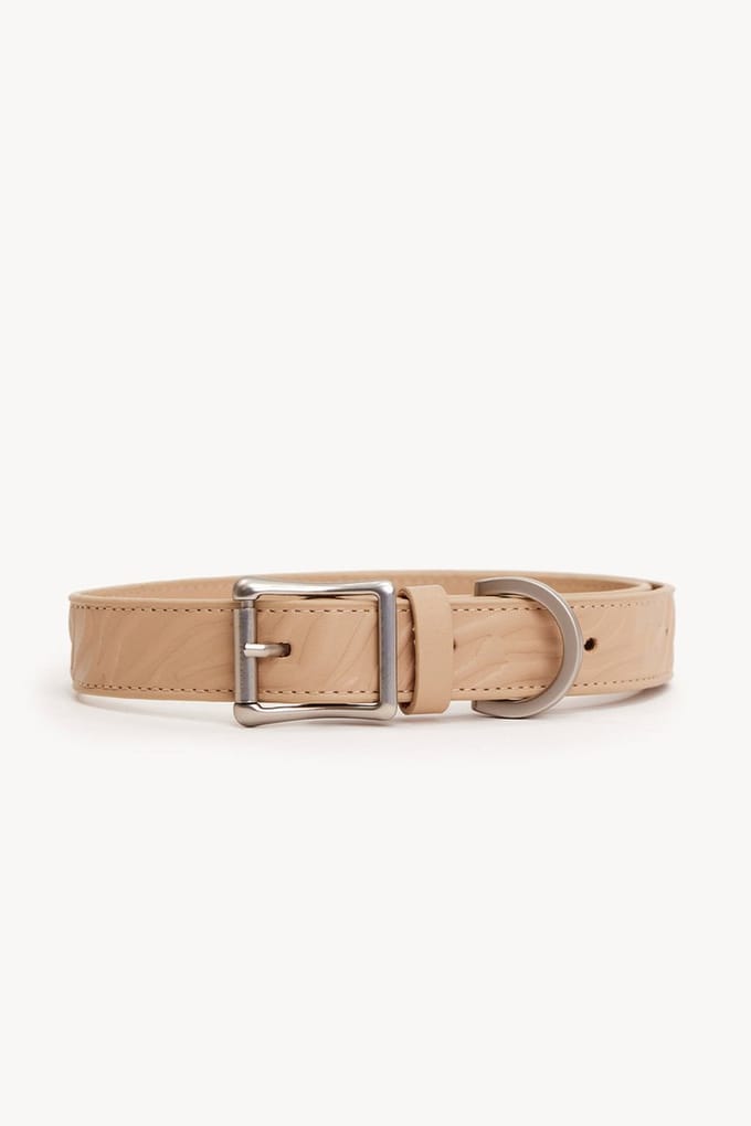 Dogguo Zebra Collar - Hondenhalsband - Beige