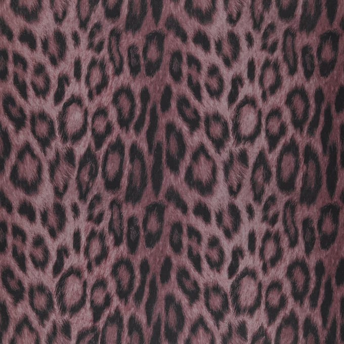 FC Jungle Club Panthera 35-Amor - papierbehang - 10m x 53cm