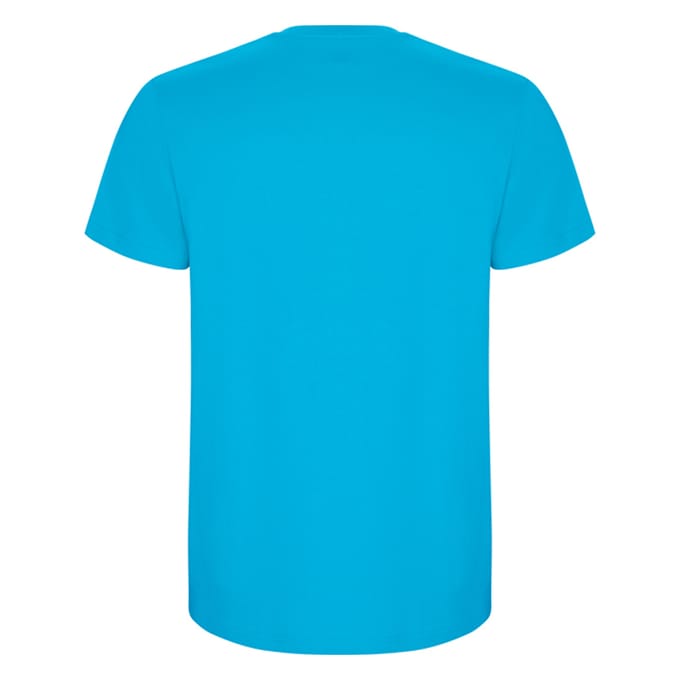 Roly Heren Stafford T-Shirt (Turquoise)
