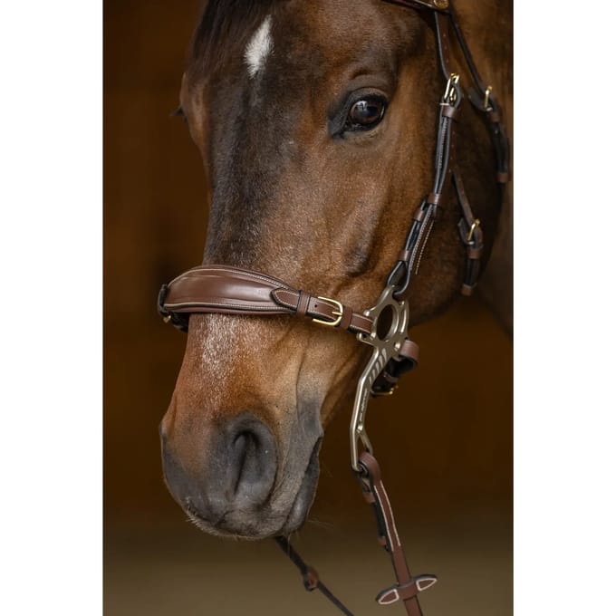 Muserolle voor paard en polsband HFI Hackamore