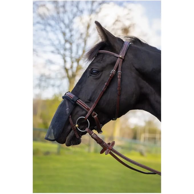 Neusbeschermer voor paarden BR Equitation