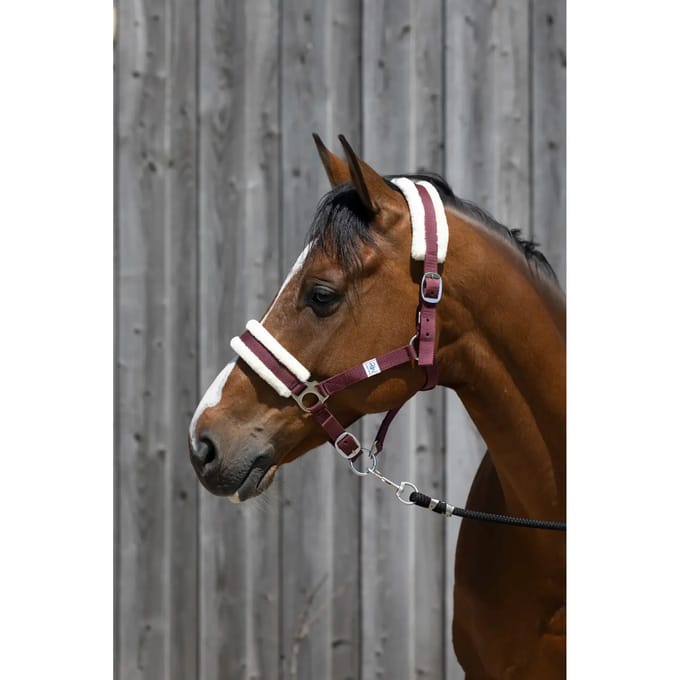 Synthetisch schapenvacht halster voor paarden Riding World