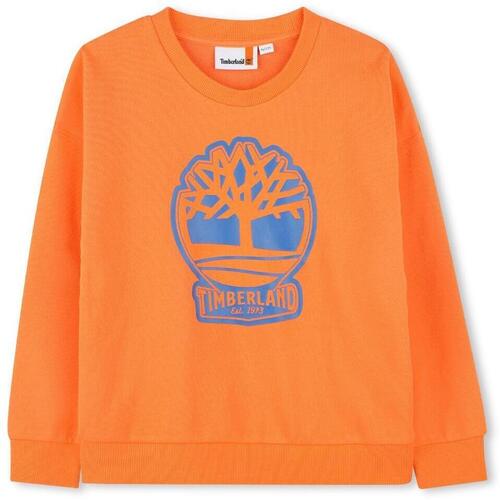 Sweater Timberland T60444