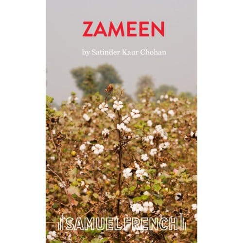 Zameen - Satinder Kaur Chohan