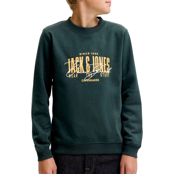 JACK & JONES - JJAERO SWEAT CREW NECK JNR Heren Trui