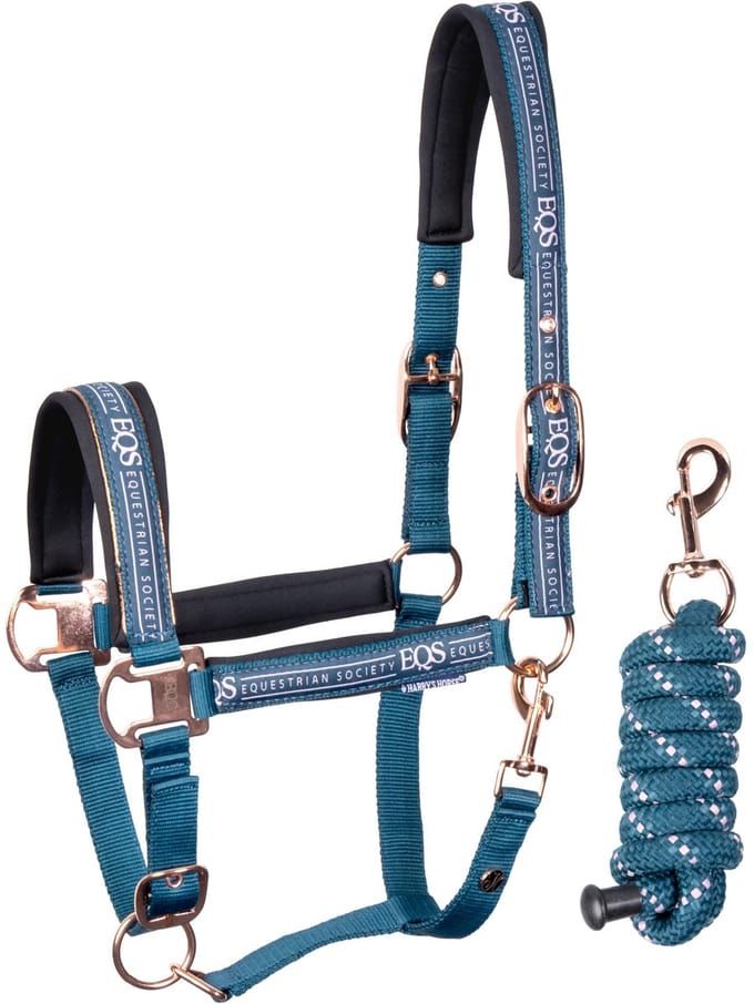 Halsterset Equestrian Society | Cob