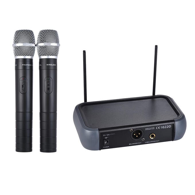 Ammoon Dual Channel VHF Draadloos Handmicrofoonsysteem met Echo Functie 2 Microfoons & 1 EU Plug