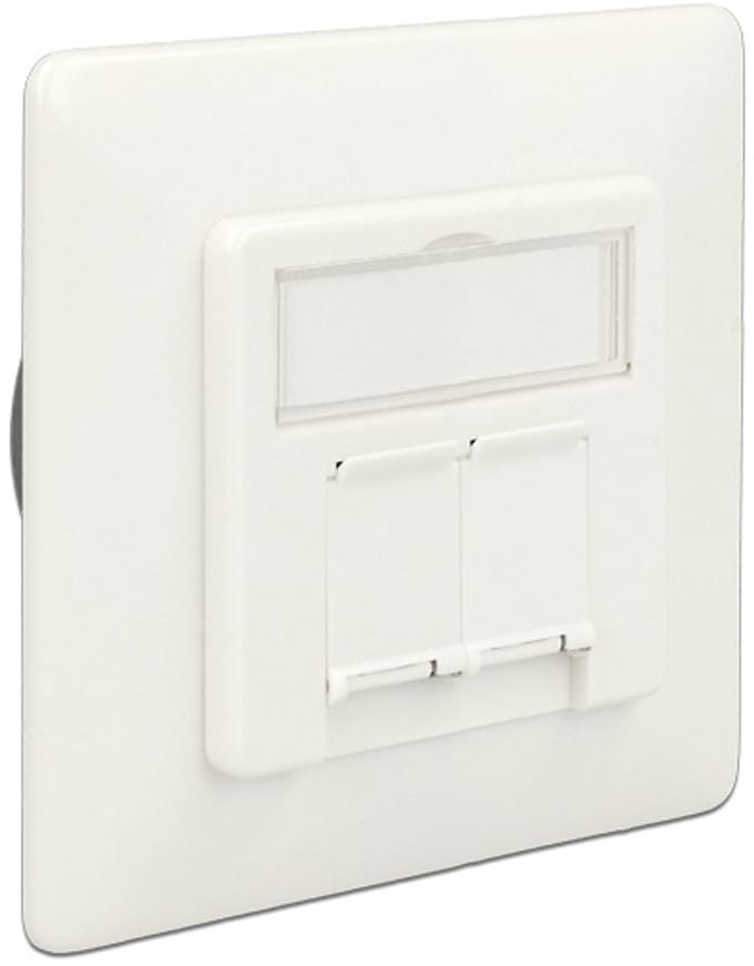 Delock Modular Wall Outlet flush mount 2 Port Cat.6A LSA