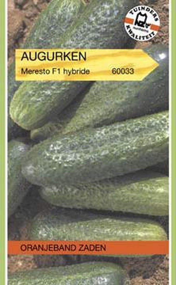 Oranjebandzaden -  Augurken Profi (vh Capra) F1