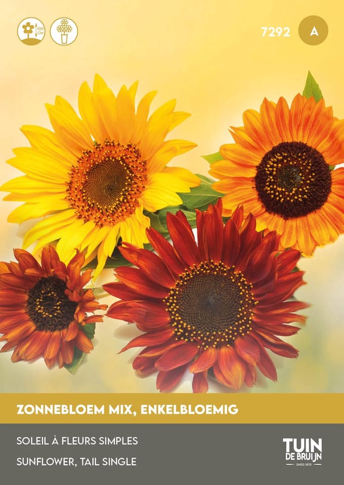 Tuin de Bruijn Zonnebloem Avondzon Mix – 50 Zaden – 2 g