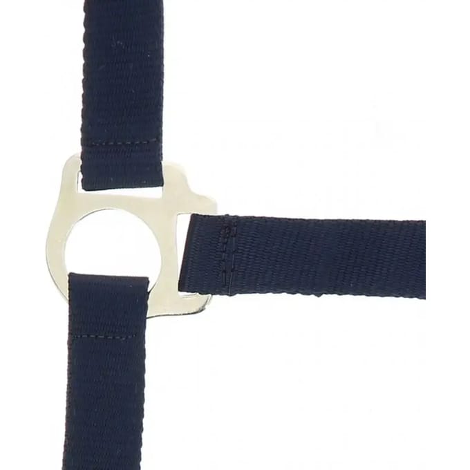 Halter Riding World Club