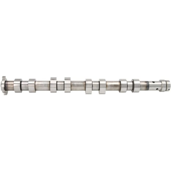 Nokkenas  AE CAM957