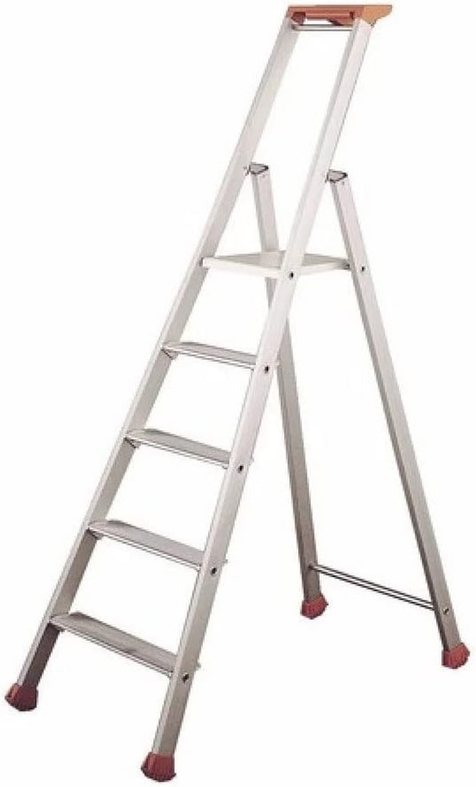 Professionele Trapladder met 5 Treden