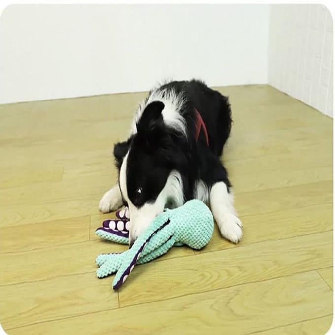 Hond Huisdier Pluche Octopus Speelgoed Interactief Geluid Anti-sloop Thuis Groot en Klein Hond Verveling Gezelschap Speelgoed white