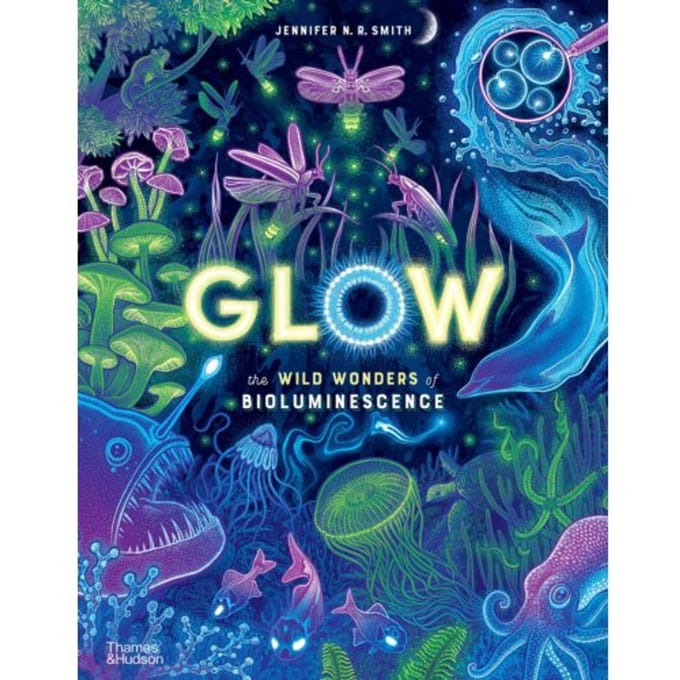 Glow - Wild Wonders - Jennifer N. R. Smith